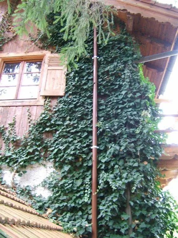 Kaminbau, Kaminsanierung & Ofenbau Loderer Saniertes Außenkamin an Holzfassade